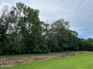 0 Old Highway 21 Unit 4085905, Forest, MS 39074