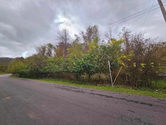 TBD Deer Ridge Trail, Tazewell, VA 24651