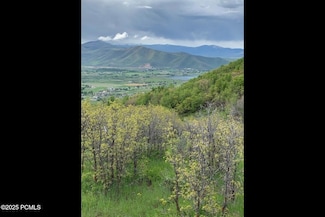 81 Switzer Dr, Midway, UT 84049