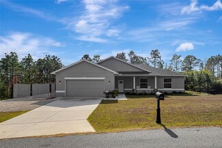 11320 Gallinule Ave, Weeki Wachee, FL 34613