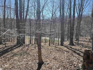 Parcel E Lobb Rd, Crystal Lake Township, MI 49635