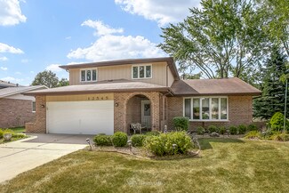 12545 W Holm Dr, Homer Glen, IL 60491
