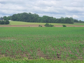 00 Witt Rd, Franklin, KY 42134