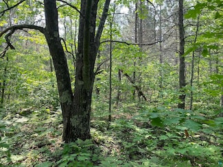 000 5 Acre Rd, Bayview, WI 54891