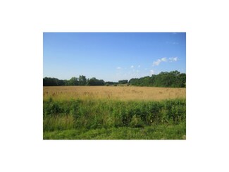 2001 N Holly Rd, Buckner, MO 64016