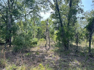 0 NE 152nd Ct Unit MFRG5097296, Williston, FL 32696