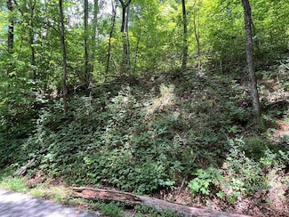 000 Red Bird Dr, Hayesville, NC 28904