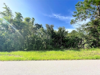 13544 Drysdale Ave, Port Charlotte, FL 33981