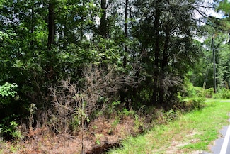 0 Cherry Hill Rd Unit 25023693, Hollywood, SC 29449