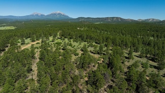 24300 Cr 50 9, Aguilar, CO 81020