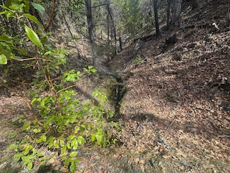 122 Acres Off Usfs Road 46n76, Happy Camp, CA 96039