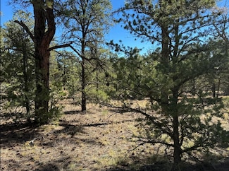 Davids Rock Rd, Ramah, NM 87321