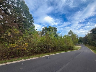 Lot 29 Goodwin Cove, Ash Flat, AR 72513