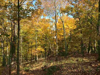 00 Economou Rd, Huntington, VT 05462