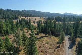 NKA Ridgeview Loop, Harrison, ID 83833