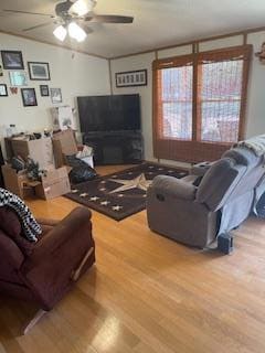 810 Avenue R, Johnson City, TX 78636