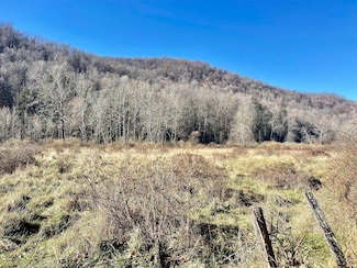 45 Becky Creek, Huttonsville, WV 26273