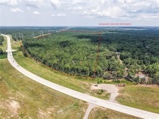 TBD Aggie Expressway 249 Hwy, Plantersville, TX 77363