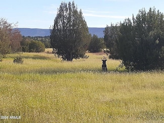 32018 W Calle Ines Pkwy, Seligman, AZ 86337