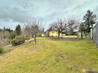 20 Salmon Creek Rd, Mossyrock, WA 98564