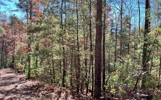0 Adelaide Trail, Blue Ridge, GA 30513
