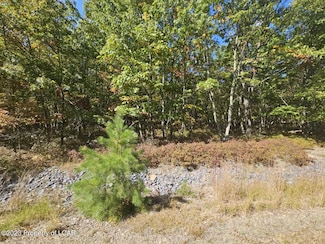 LV Lot 335 Wild Plum Way, Hazle Township, PA 18249
