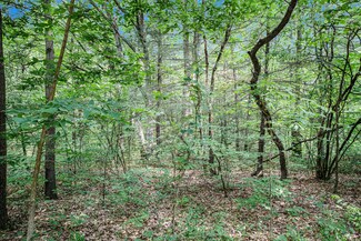 LOT B Babylon Rd, Allegan, MI 49010