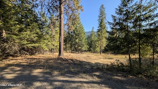 NKA E Raven Ridge Rd, Coeur D'Alene, ID 83814