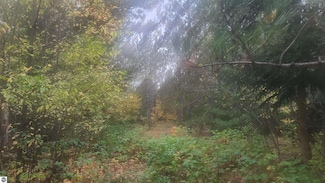 0000 Cedar River Rd, Mancelona, MI 49659