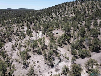 LOT 25 A Poverty Creek Pines Rd, Winston, NM 87943