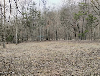 0 Sewell Branch Rd, Clifton, TN 38425