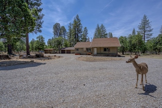 21652 Rattlebush Dr, Cassel, CA 96016