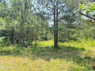 Lot 24 Buckhorn Church, Como, NC 27818