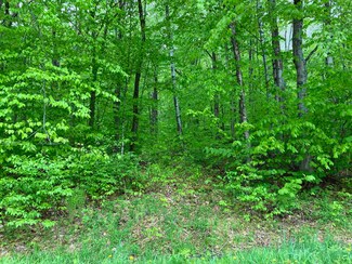 91 Lower Howe's Rd Unit A91, Wilmington, VT 05363