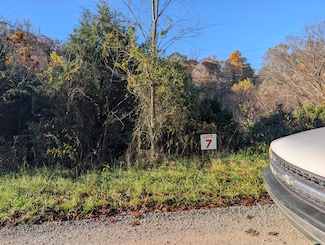 Lot # 7 Long Beard Ln, Tazewell, TN 37879
