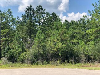 0 Clear Lake Rd Unit 3368438, Perkinston, MS 39573