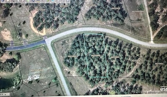 LOT 9 BL Mountainview Way, Bainbridge, GA 39817