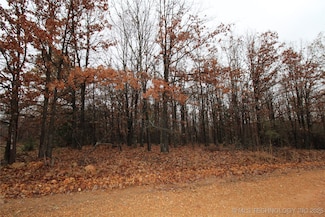 3016 Indian Point Dr, Kansas, OK 74347