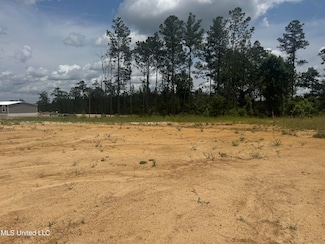 0 Wire Rd, Pelahatchie, MS 39145
