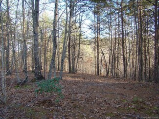 18 Grouse Ridge Dr, Bostic, NC 28018