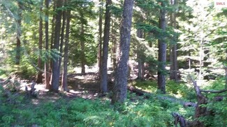 NKA Mosquito Creek Rd, Clark Fork, ID 83811