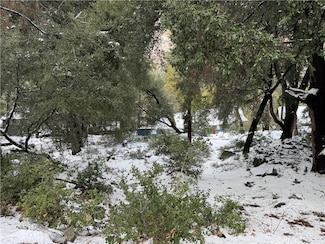 39480 Prospect Dr, Forest Falls, CA 92339