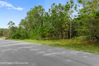 4099 W Malaluka Cir, Citrus Springs, FL 34433