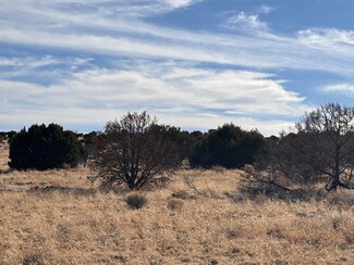 0 Pinon Springs Rd, Magdalena, NM 87825