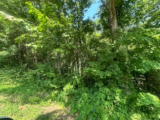 2 Acres Holly Creek Rd, Celina, TN 38551