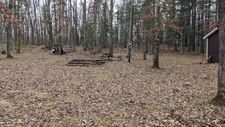 8913 W Toma Trail, Irons, MI 49644