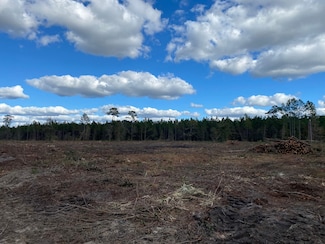 0 Camp Branch Cross Rd Unit 12958956, Waycross, GA 31503