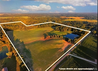 2076 Carter Rd, Oakdale Township, IL 62237