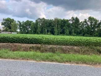 0 Waycross Rd, Turkey, NC 28393