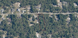 1634 E Mckinley St, Hernando, FL 34442